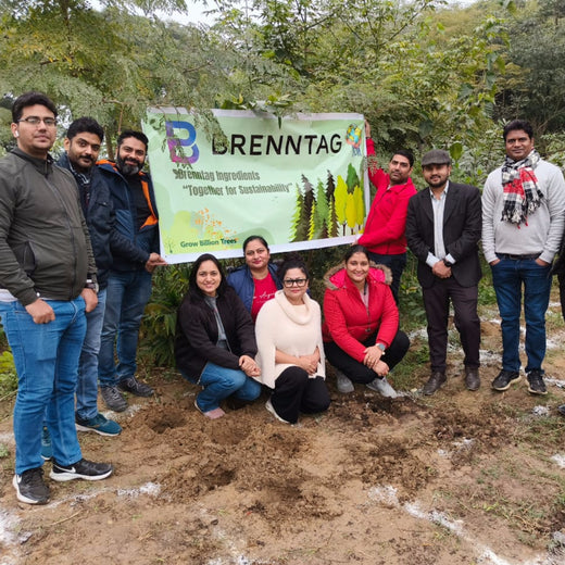 Brenntag's Green Initiative: Employee Tree Plantation in Gurgaon – Planting