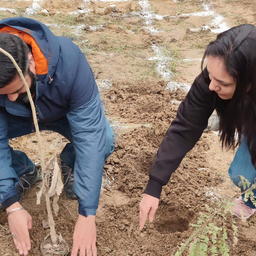 Brenntag's Green Initiative: Employee Tree Plantation in Gurgaon – Planting