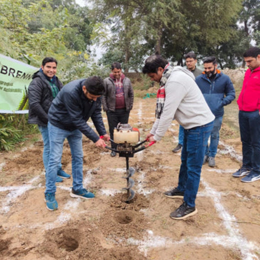 Brenntag's Green Initiative: Employee Tree Plantation in Gurgaon – Planting