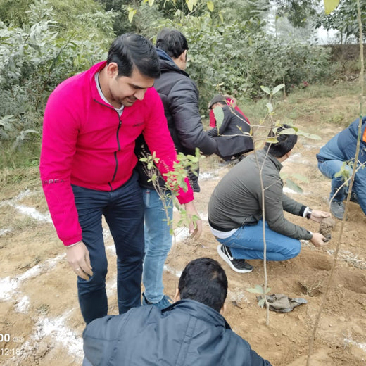 Brenntag's Green Initiative: Employee Tree Plantation in Gurgaon – Planting