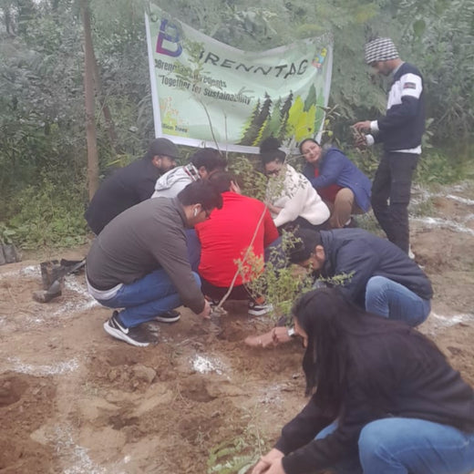 Brenntag's Green Initiative: Employee Tree Plantation in Gurgaon – Planting