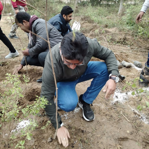 Brenntag's Green Initiative: Employee Tree Plantation in Gurgaon – Planting