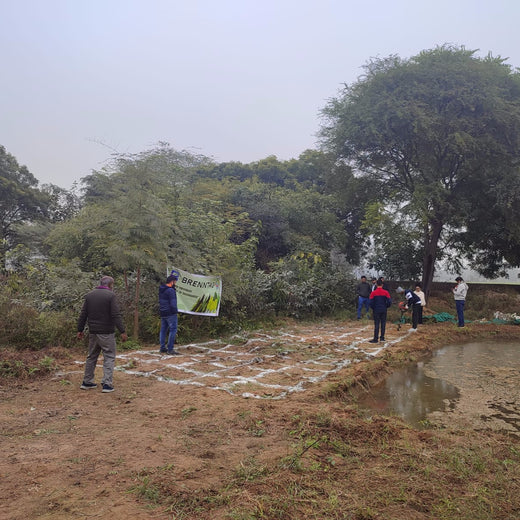 Brenntag's Green Initiative: Employee Tree Plantation in Gurgaon – Planting