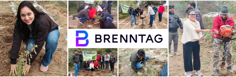 Brenntag India's Green Initiative: Partnering with Grow Billion Trees for Employee Engagement in Gurgaon