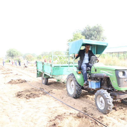 Trees for Tomorrow: Girnar Soft’s Sustainable Agriculture Initiative – Planting