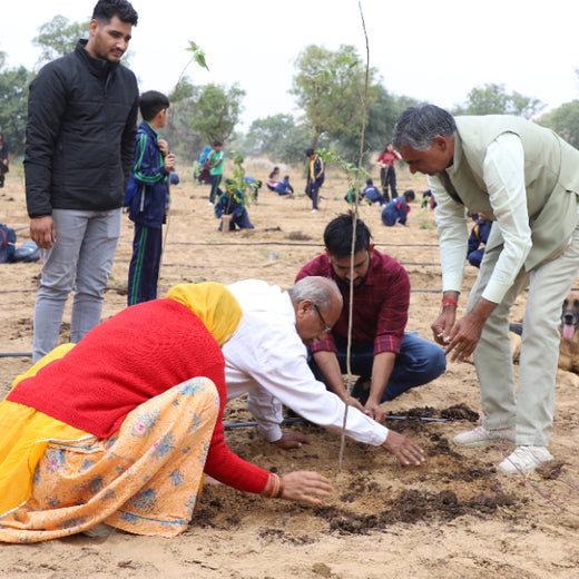 Trees for Tomorrow: Girnar Soft’s Sustainable Agriculture Initiative – Planting