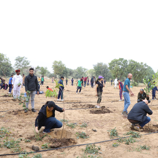 Trees for Tomorrow: Girnar Soft’s Sustainable Agriculture Initiative – Planting