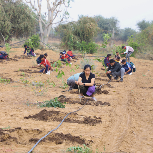 Trees for Tomorrow: Girnar Soft’s Sustainable Agriculture Initiative – Planting