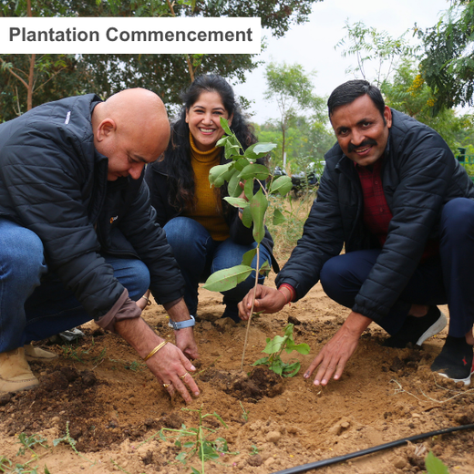 Trees for Tomorrow: Girnar Soft’s Sustainable Agriculture Initiative – Planting