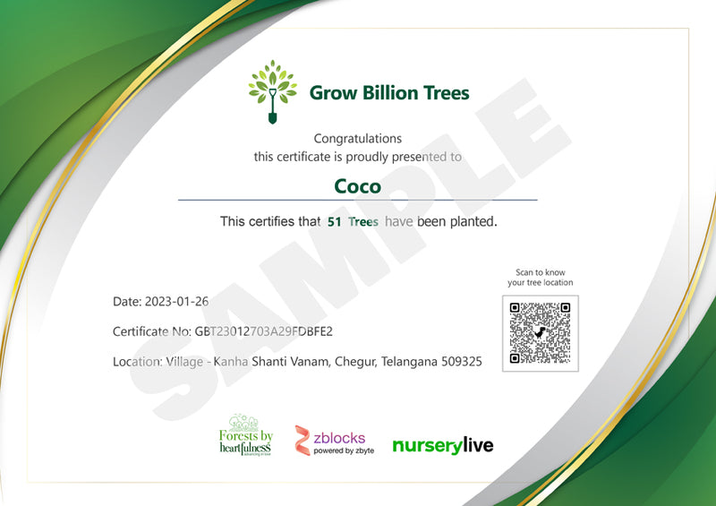 Trees for Pets: Memorial Tree Planting Service for ₹299