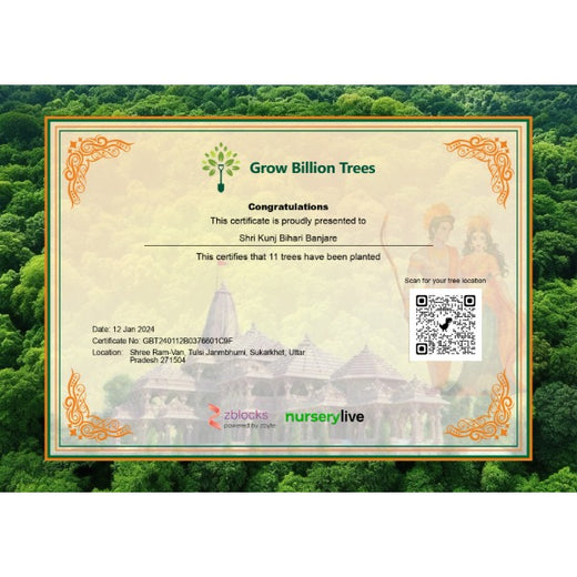 Trees for Shree Ram Katha by Ram Parivar – Planting