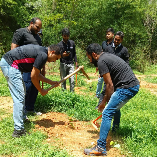 A Breath of Fresh Air: Cloudnine Hospitals' Commitment to Urban Forests – Planting