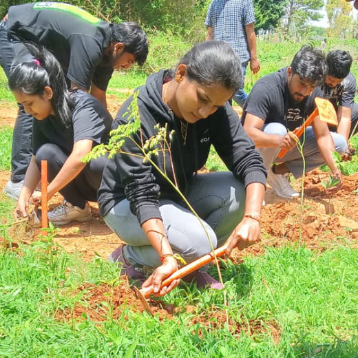 A Breath of Fresh Air: Cloudnine Hospitals' Commitment to Urban Forests – Planting