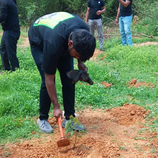 A Breath of Fresh Air: Cloudnine Hospitals' Commitment to Urban Forests – Planting