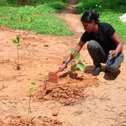 A Breath of Fresh Air: Cloudnine Hospitals' Commitment to Urban Forests – Planting