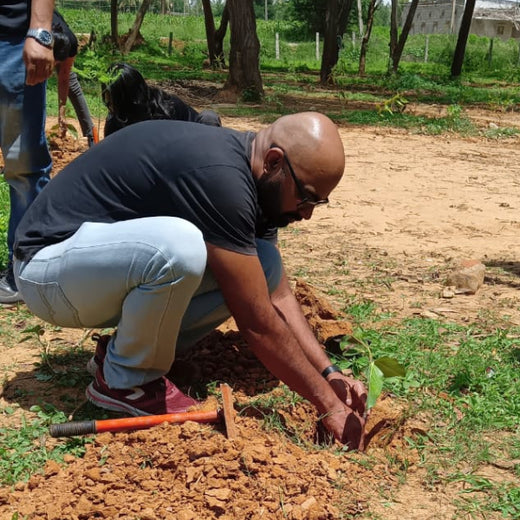 A Breath of Fresh Air: Cloudnine Hospitals' Commitment to Urban Forests – Planting