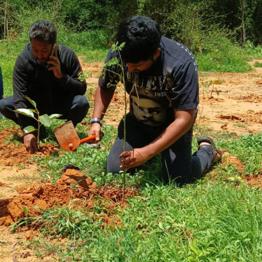 A Breath of Fresh Air: Cloudnine Hospitals' Commitment to Urban Forests – Planting