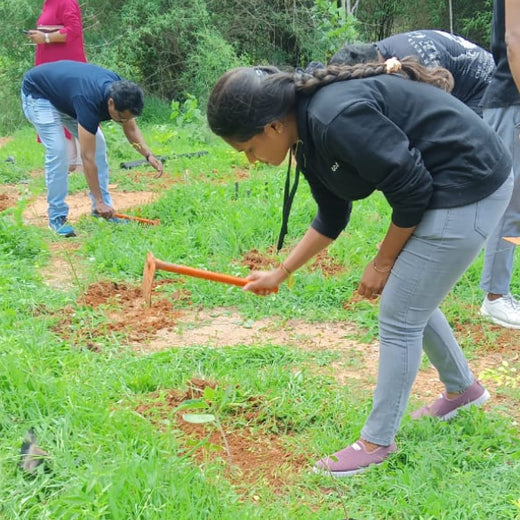 A Breath of Fresh Air: Cloudnine Hospitals' Commitment to Urban Forests – Planting