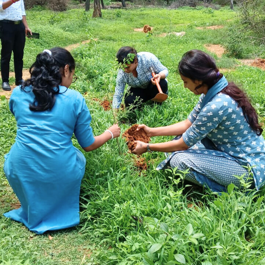 A Breath of Fresh Air: Cloudnine Hospitals' Commitment to Urban Forests – Planting