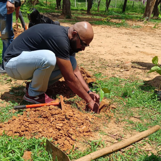 A Breath of Fresh Air: Cloudnine Hospitals' Commitment to Urban Forests – Planting