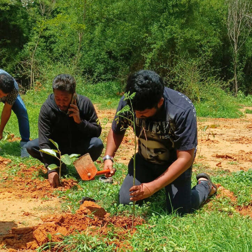 A Breath of Fresh Air: Cloudnine Hospitals' Commitment to Urban Forests – Planting