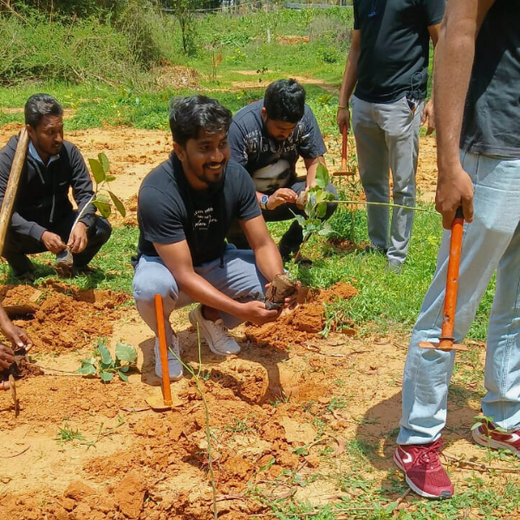 A Breath of Fresh Air: Cloudnine Hospitals' Commitment to Urban Forests – Planting