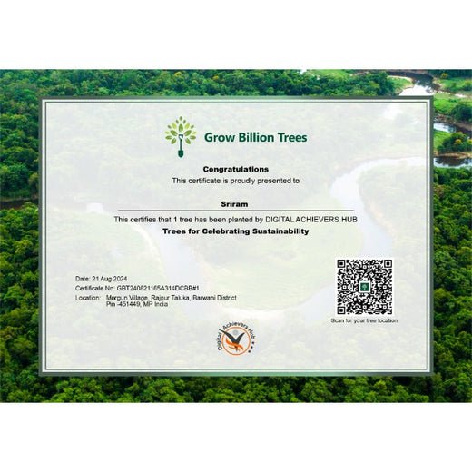 Branching Out: Digital Achievers Hub's Green Initiative for Subscribers – Planting