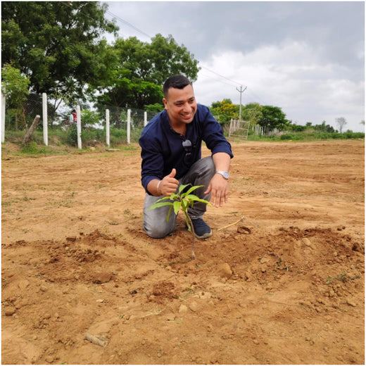 Balancing Carbon Footprint: Dr. Reddy’s Laboratories Green Initiative – Planting