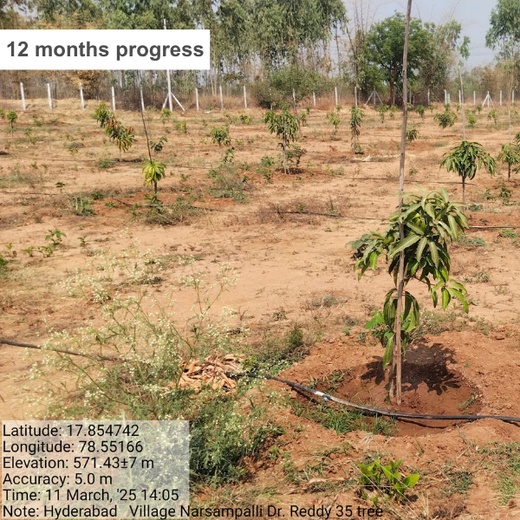 Balancing Carbon Footprint: Dr. Reddy’s Laboratories Green Initiative – 6 months