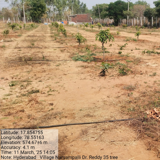 Balancing Carbon Footprint: Dr. Reddy’s Laboratories Green Initiative – 6 months