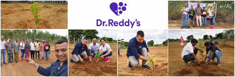 Dr.Reddy's Initiative For Balancing Carbon Footprint:  Agroforestry Plantation