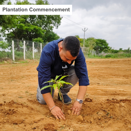 Balancing Carbon Footprint: Dr. Reddy’s Laboratories Green Initiative – Planting