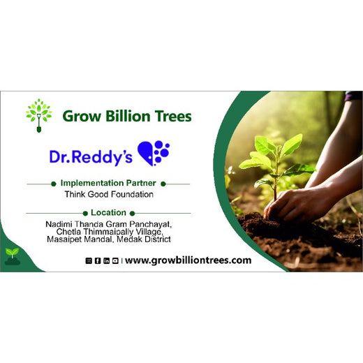 Balancing Carbon Footprint: Dr. Reddy’s Laboratories Green Initiative – Planting