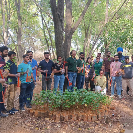 EcoEmpowerment: Ethos Life's Urban Forest for Employee Engagement – Planting