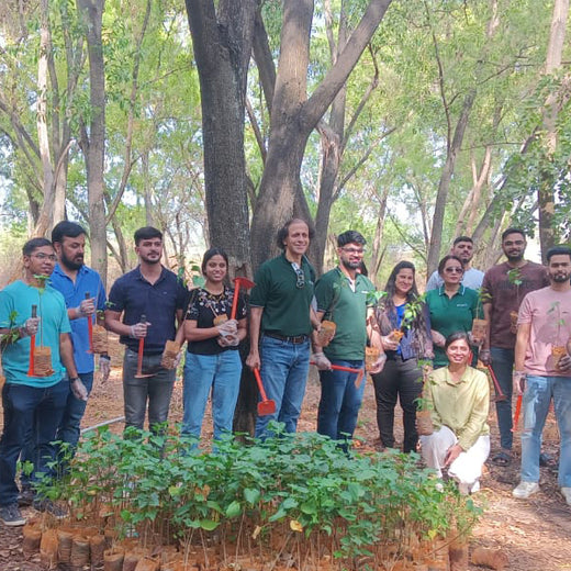 EcoEmpowerment: Ethos Life's Urban Forest for Employee Engagement – Planting