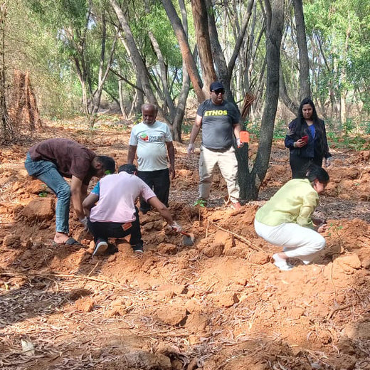 EcoEmpowerment: Ethos Life's Urban Forest for Employee Engagement – Planting
