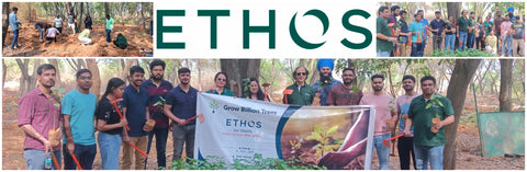 Transforming Urban Landscapes: ETHOS Life Technologies' Tree Plantation Drive in Bangalore