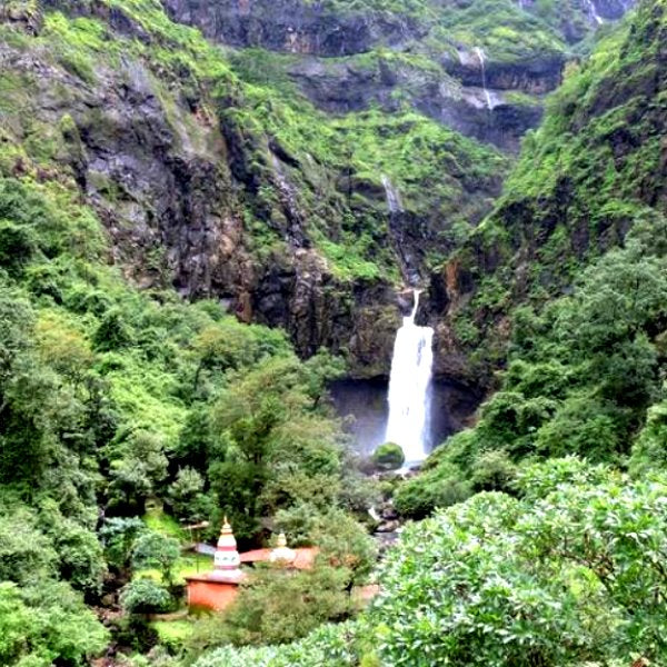 Trees for Lord Shiva – Grow Billion Trees