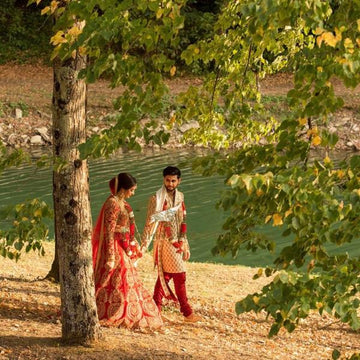 Australian Buloke Tree: The Ultimate Guide to This Resilient Native Wo ...