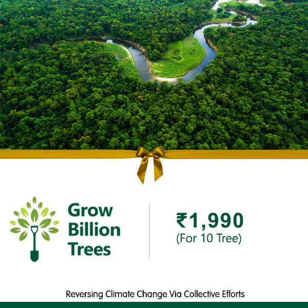 Grow Billion Tree Gift Card