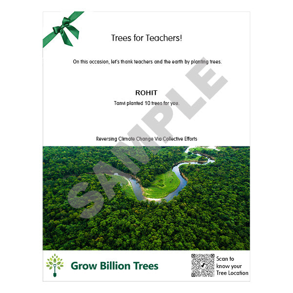 Trees for Teachers