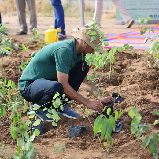 Group Landmark's ROAR (Reduce to Zero, Add Responsibility) Initiative: Miyawaki Forests – 6 months