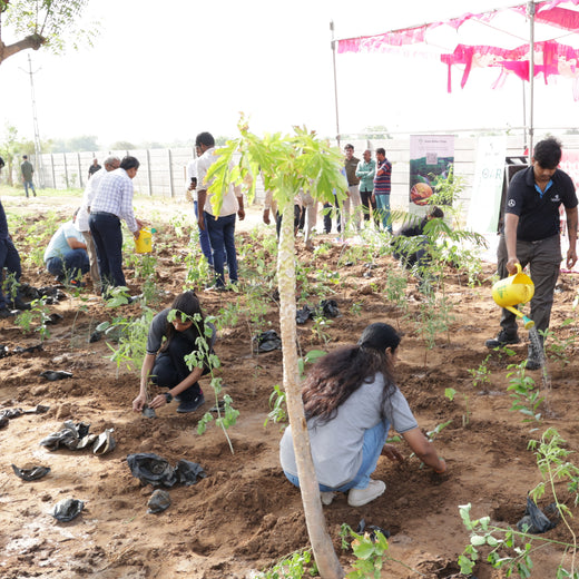 Group Landmark's ROAR (Reduce to Zero, Add Responsibility) Initiative: Miyawaki Forests – 6 months
