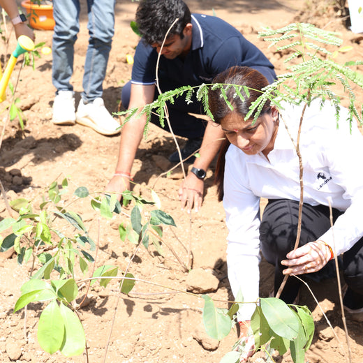 Group Landmark's ROAR (Reduce to Zero, Add Responsibility) Initiative: Miyawaki Forests – 6 months