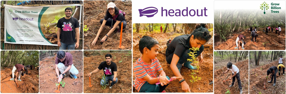 Headout's Commitment to Green Spaces: Empowering Employees with Urban Forests