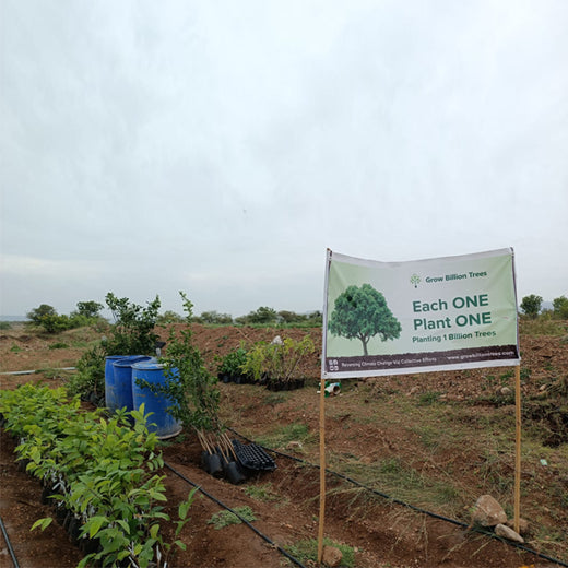 Green Hands, Green Lands: Investa Pumps’ CSR in Action – Planting