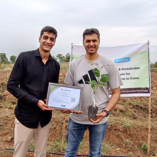 Green Hands, Green Lands: Investa Pumps’ CSR in Action – Planting