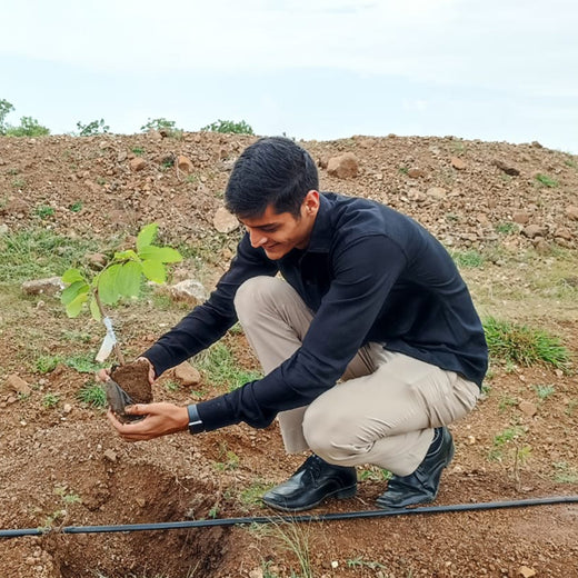Green Hands, Green Lands: Investa Pumps’ CSR in Action – Planting