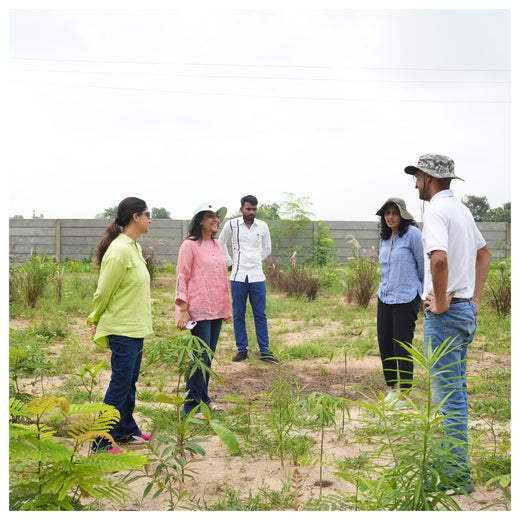 Group Landmark's ROAR (Reduce to Zero, Add Responsibility) Initiative: Miyawaki Forests – 1 year