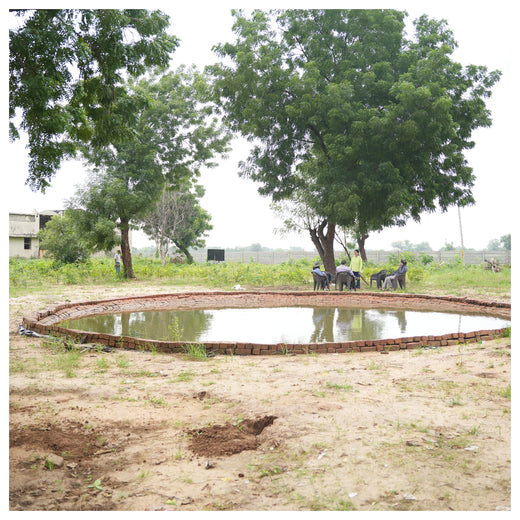 Group Landmark's ROAR (Reduce to Zero, Add Responsibility) Initiative: Miyawaki Forests – 1 year